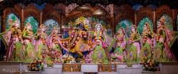Daily Darshan