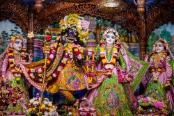 Daily Darshan