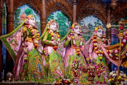 Daily Darshan