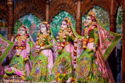 Daily Darshan