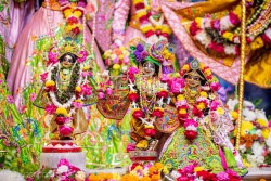 Daily Darshan