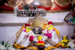 Daily Darshan