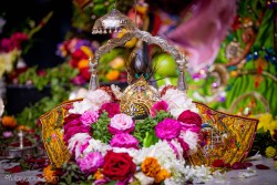 Daily Darshan
