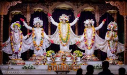 Daily Darshan