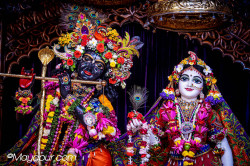 Daily Darshan