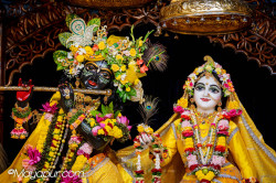 Daily Darshan