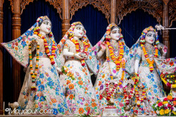 Daily Darshan