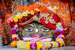 Daily Darshan