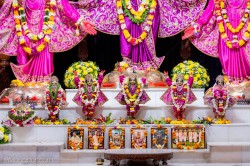 Daily Darshan