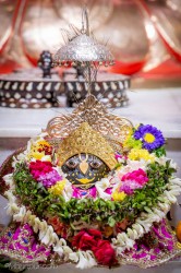 Daily Darshan