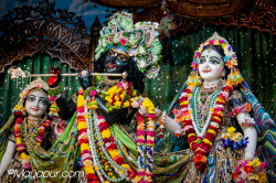 Daily Darshan