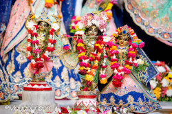 Daily Darshan