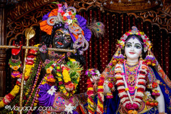 Daily Darshan