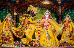 Daily Darshan