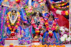 Daily Darshan