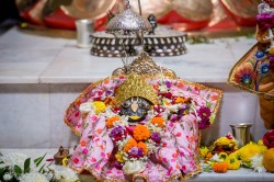 Daily Darshan