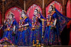 Daily Darshan