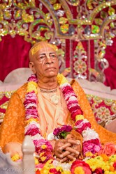 Daily Darshan