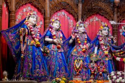 Daily Darshan