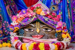 Daily Darshan