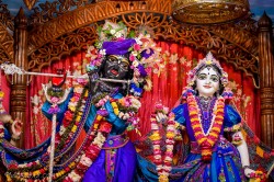 Daily Darshan