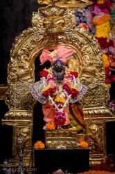 Daily Darshan