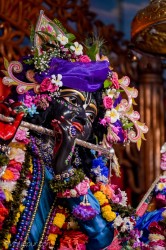Daily Darshan