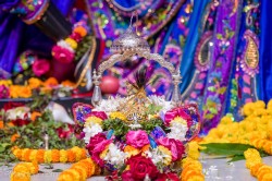 Daily Darshan