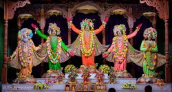 Daily Darshan