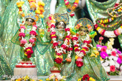 Daily Darshan