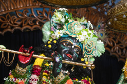 Daily Darshan