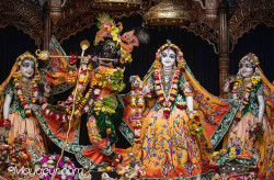 Daily Darshan