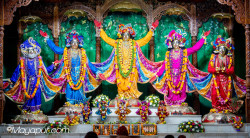 Daily Darshan
