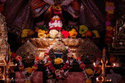 Daily Darshan