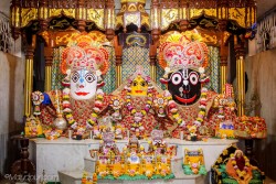 Daily Darshan