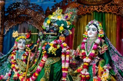 Daily Darshan