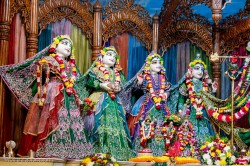 Daily Darshan