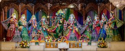 Daily Darshan