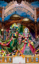 Daily Darshan