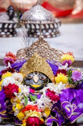 Daily Darshan