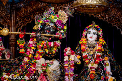 Daily Darshan