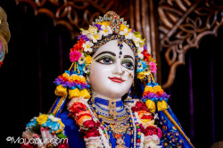 Daily Darshan