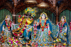 Daily Darshan