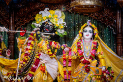 Daily Darshan