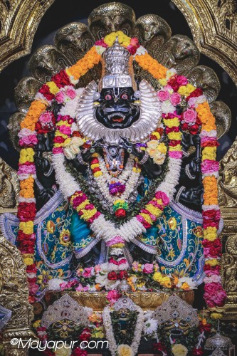 Daily Darshan