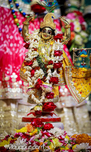 Daily Darshan