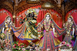 Daily Darshan