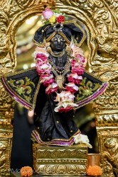 Daily Darshan