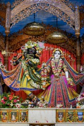 Daily Darshan