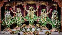 Daily Darshan